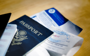 Employment Visa